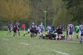 RUGBY CHARTRES 210.JPG